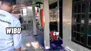 Normies moment