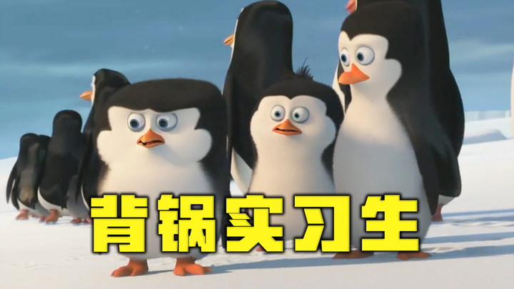 当领导把背黑锅的项目交给实习生时...【高全胜配音】