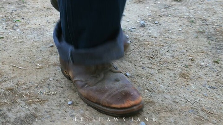 «بعض الطيور لا يمكن حبسها أبدًا» #مونتاج #أفلام عالية التصنيف