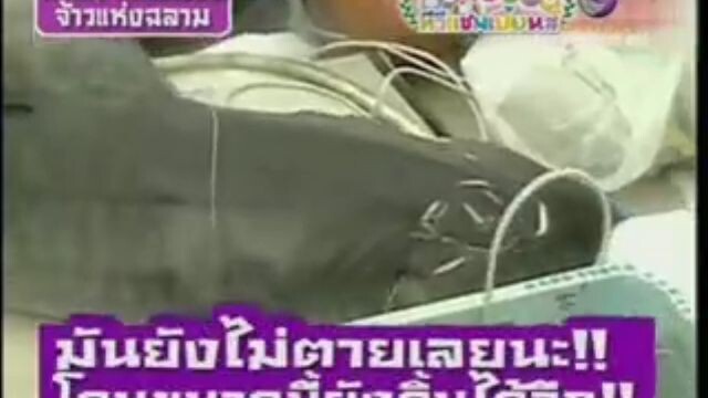 ทีวีแชมเปี้ยน (TV Champion): ภารกิจศึกชิงแชมป์จ้าวแห่งฉลาม