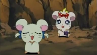 แฮมทาโร่ แก๊งจิ๋วผจญภัย ปี4 ตอนที่ 42