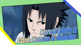 Naruto phần 5 
Cảnh Naruto & Sasuke