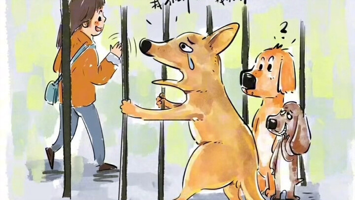 The dog still hasn’t adjusted to kindergarten yet.