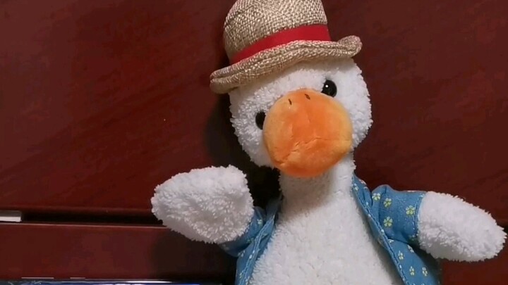 "Drunken Sailor" Cover by Fudu Duck