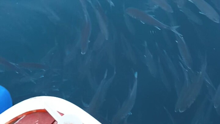 GODS gift🙏🙏🙏