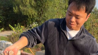 最近农忙，整个烤乳猪犒劳下大家！