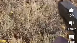 Được glock cứu sống một mạng... #Video chuyển tải từ YouTube Youtube