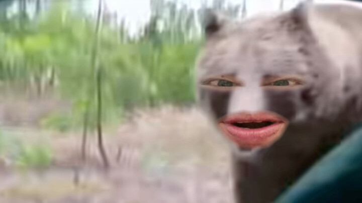 หมี: อาหารเดลิเวอรีมาถึงแล้วเหรอ?