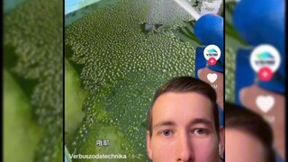 废旧游泳池清理