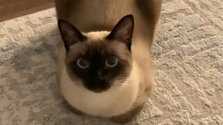 This way looks more mature.