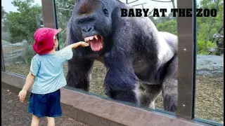 TRY NOT TO LAUGH | Funny Babies At The Zoo  - LAUGH TRIGGER