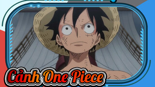 Cảnh One Piece