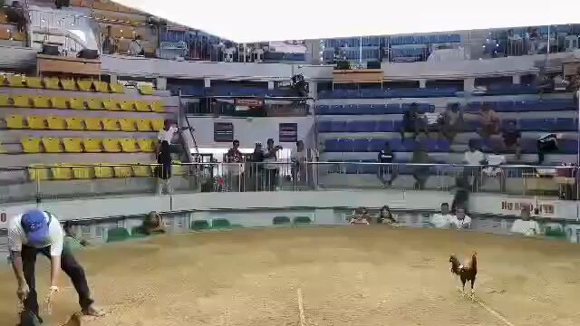 3rd fight JR3 WIN @GDM 7STAGDERBY