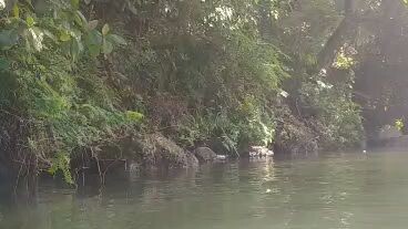 ligo sa ilog