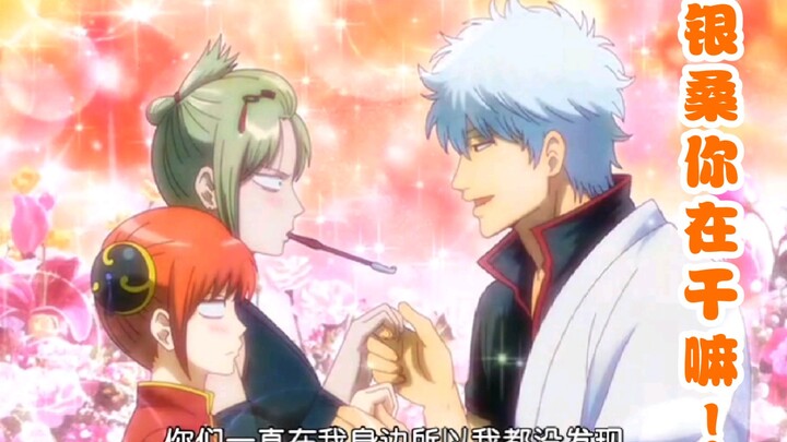 [Gintama] Ginsang is really good at it, who can resist such love words.