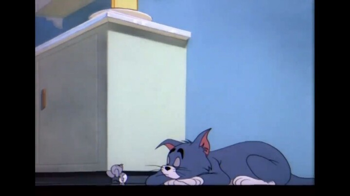 Tom y Jerry en Latino _ Dibujos animados clásicos
