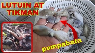 PAGLULUTO NG OCTOPUS 🐙 CALAMARIS AT ADOBONG PUGITA