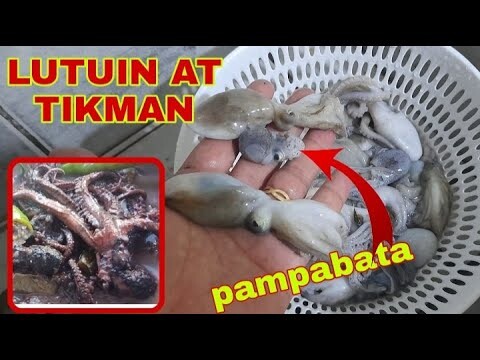 PAGLULUTO NG OCTOPUS 🐙 CALAMARIS AT ADOBONG PUGITA