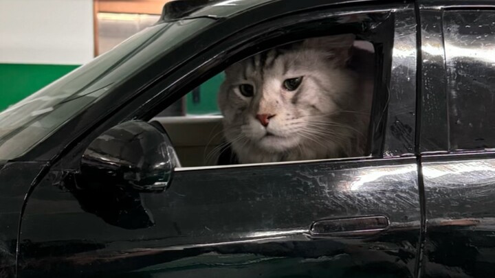 If there is anything else that needs to be changed, please let me know.