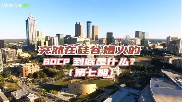 What is the BDCP that suddenly became popular in Silicon Valley? (Issue 7)