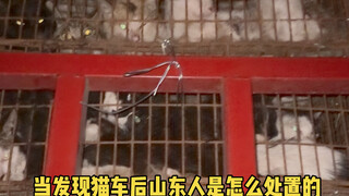 Luckily they're in Shandong; only by getting involved did I realize just how dark and difficult thin