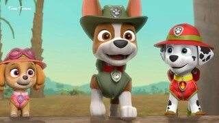 Tracker, 《Paw Patrol yang Membanggakan》 [Bahasa Indonesia]