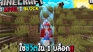 มายคราฟ 1 Level 1 Block 1 ใช้ชีวิตใน 1 บล็อก !!