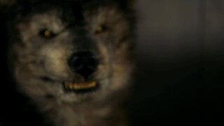 Young Dracula • Season 3 • Episode 01