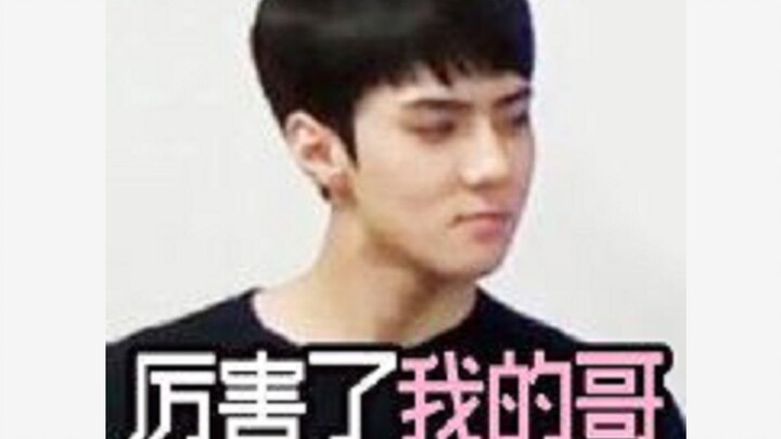 Reuniting before the fifth tour! One person sings, eight people dance—what a glorious era for Nine C