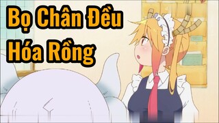 Bọ Chân Đều Hóa Rồng