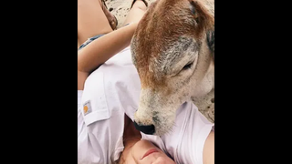 โสดโอนไว มีความจริงใจแถมให้ด้วย