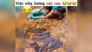 Việc nhẹ lương cực  cao