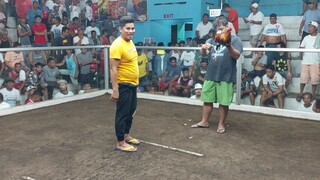 3xwinner loss