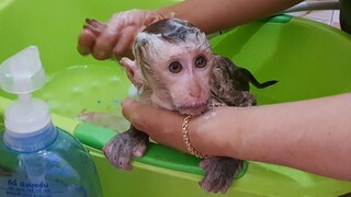 So Cute Lovely Baby Liheang Routine Bathing In The Day Time
