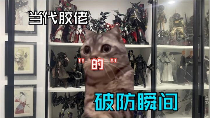 【胶佬的猫meme】当代胶佬的破防瞬间