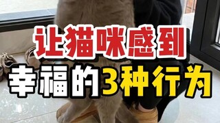 Three signs that a cat shows only when it feels loved—how many does your cat exhibit?