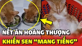 Sen bất lực trước cái NẾT THAM ĂN của Beo và Báo 😂 | Yêu Lu