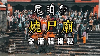 人生一世，草木一秋。只有直面死亡才能理解死亡。
