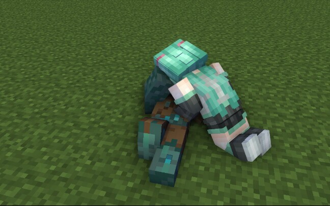 mc แอนิเมชั่น (น้องสาวจมน้ำ)