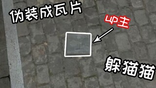 The card bug has turned into tiles. Is this too outrageous? If you can catch me, I will stand on my 