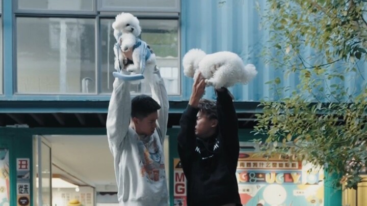 Giới chó đang bất ổn, dắt chó đi dạo phải cẩn thận hết lần này đến lần khác!