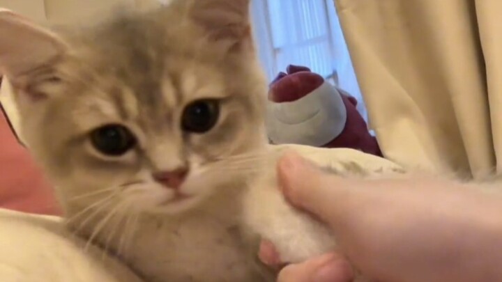“มือของคุณเล็กและลื่นมากเลยนะ”