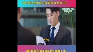 Khi Màn Đêm Gợn Sóng Tập 8: Lời chúc mừng đầy cay đắng của sếp Khi biết crush sắp lấy chồng