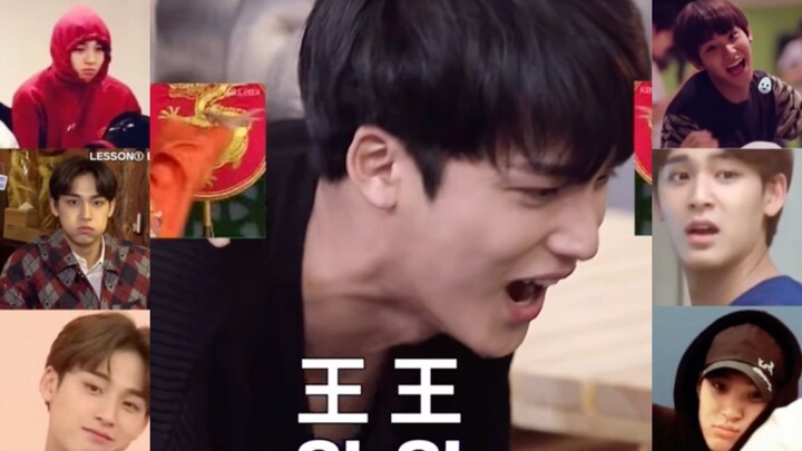 【Kim Min-gyu】Cẩm nang về cún con