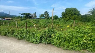 人生终有一别接受了离别却低估了思念忙完这一生我就去看您
