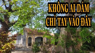 Khó Tin Về Lời Nguyền Chỉ Tay Ở Ngôi Đình Làng | Chỉ Tay Vào Là Bệnh