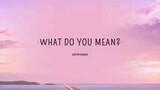 WHAT DO YOU MEAN? SONG LYRICS