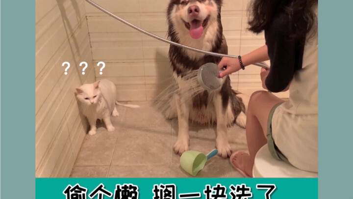 อาบน้ำด้วยกันครั้งแรก… กลับกลายเป็นว่าพี่แมวขาชาไปเลย