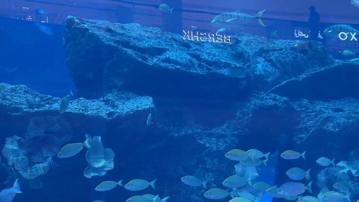 Dubai Mall