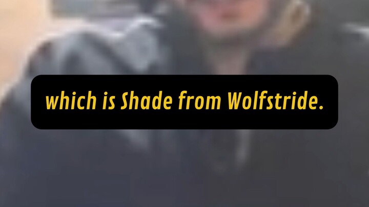 Which Wolfstride Character Would We Be?